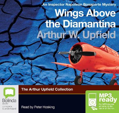 Wings Above The Diamantina book