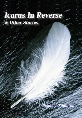 Icarus in Reverse & Other Stories book