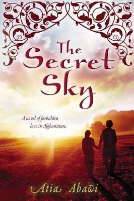 Secret Sky book