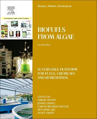 Biomass, Biofuels, Biochemicals: Biofuels from Algae by Ashok Pandey