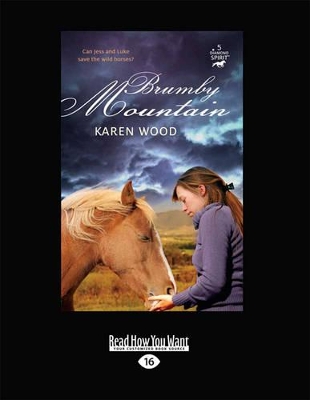Brumby Mountain: Diamond Spirit 5 by Karen Wood