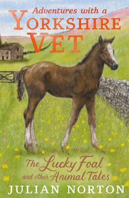 Adventures with a Yorkshire Vet: The Lucky Foal and Other Animal Tales by Julian Norton