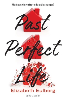 Past Perfect Life book