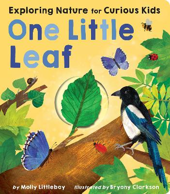 One Little Leaf: Exploring Nature for Curious Kids by Molly Littleboy