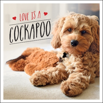 Love is a Cockapoo: A Dog-Tastic Celebration of the World's Cutest Breed book