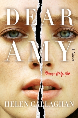 Dear Amy book