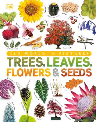 Our World in Pictures: Trees, Leaves, Flowers & Seeds book
