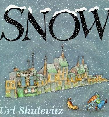 Snow book