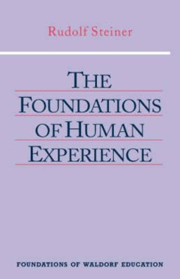 Foundations of Human Experience book