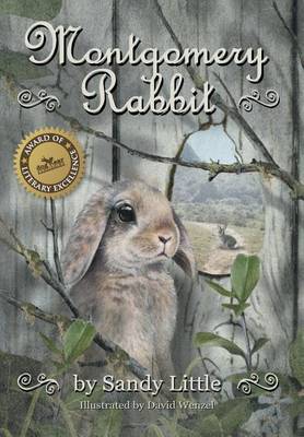 Montgomery Rabbit by Sandy Little