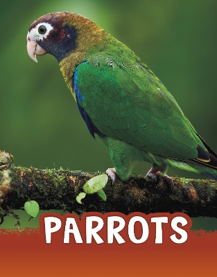 Parrots by Mari Schuh