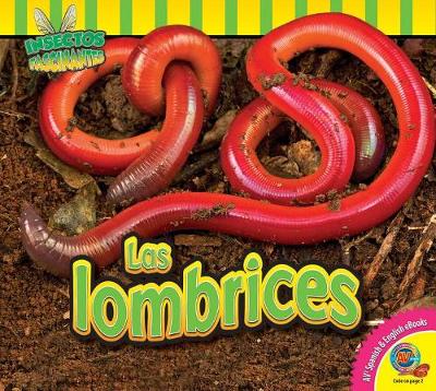 Las Lombrices (Earthworms) by Samantha Nugent