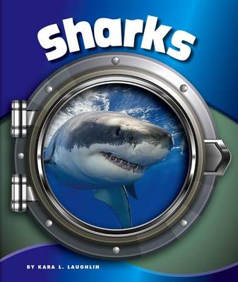 Sharks book
