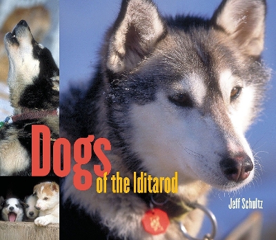 Dogs Of The Iditarod book