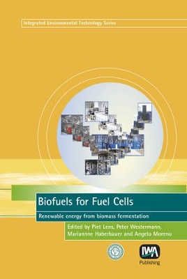 Biofuels for Fuel Cells by Piet Lens