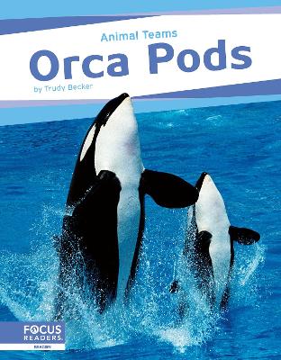 Orca Pods by Trudy Becker