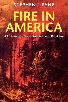 Fire in America by Stephen J Pyne