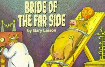 Bride Of The Far Side book