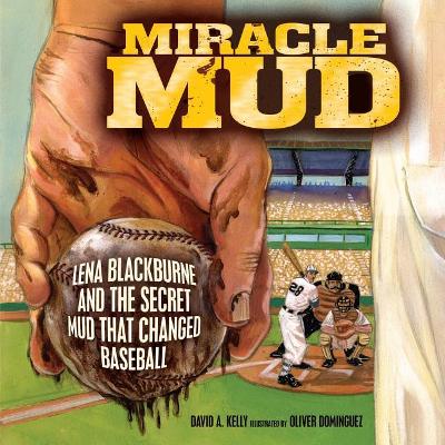 Miracle Mud book