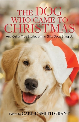 The Dog Who Came to Christmas – And Other True Stories of the Gifts Dogs Bring Us book