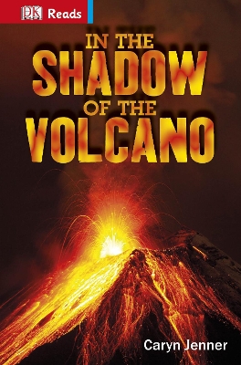 In the Shadow of the Volcano book
