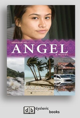 Angel: Through My Eyes - Natural Disaster Zones by Zoe Daniel