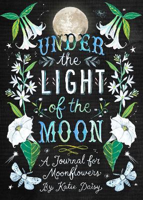 Under the Light of the Moon Journal book