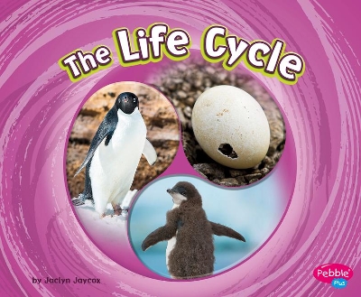 The Life Cycle by Jaclyn Jaycox