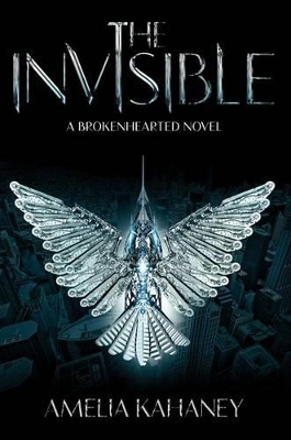 Invisible book