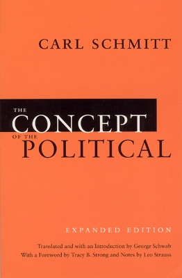 Concept of the Political book