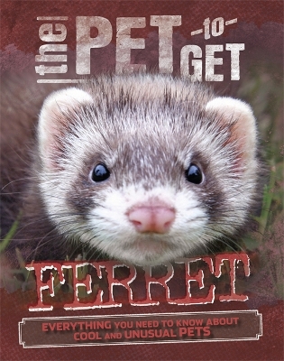 The Pet to Get: Ferret by Rob Colson