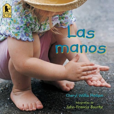 Las manos book