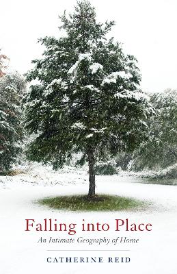 Falling into Place book