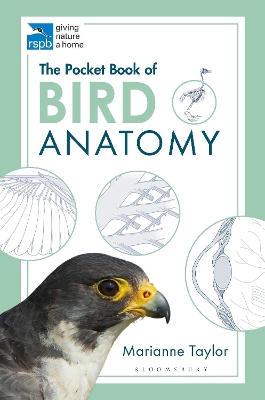 The Pocket Book of Bird Anatomy by Marianne Taylor
