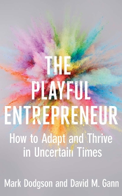 Playful Entrepreneur book