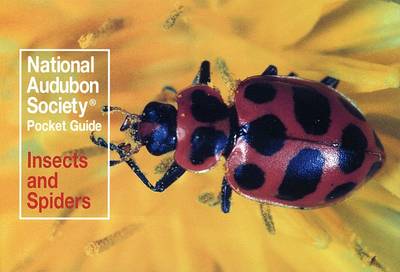 National Audubon Society Pocket Guide: Insects and Spiders book
