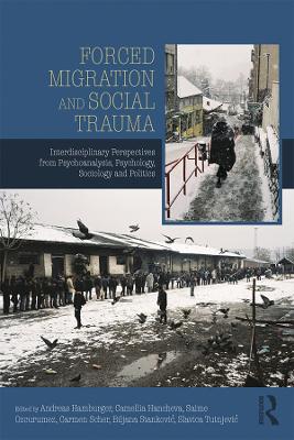 Forced Migration and Social Trauma: Interdisciplinary Perspectives from Psychoanalysis, Psychology, Sociology and Politics book