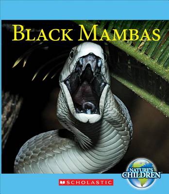 Black Mambas book