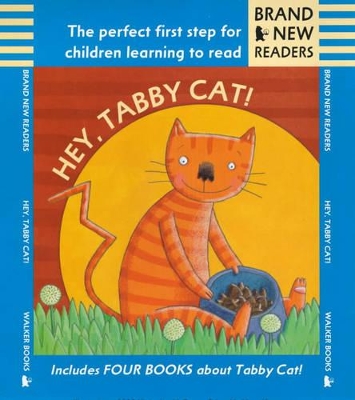 Hey, Tabby Cat! book