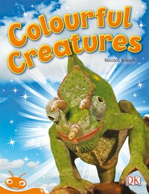 Bug Club Level 16 - Orange: Colourful Creatures (Reading Level 16/F&P Level I) book