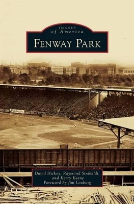 Fenway Park by David Hickey