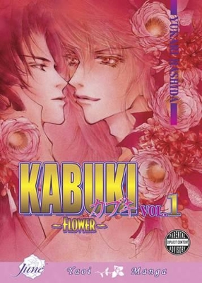 Kabuki book