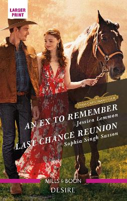 An Ex to Remember/Last Chance Reunion book