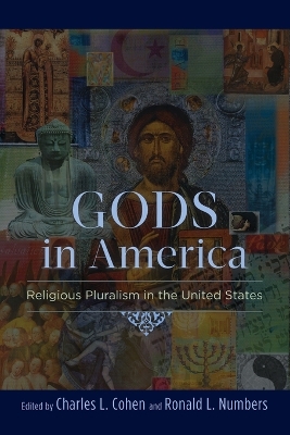 Gods in America book