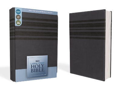 NIrV, Holy Bible, Large Print, Leathersoft, Blue book