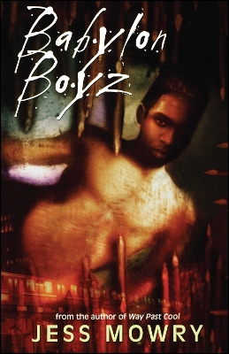 Babylon Boyz book