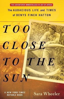 Too Close to the Sun book
