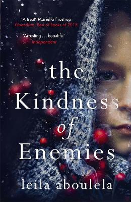 Kindness of Enemies book