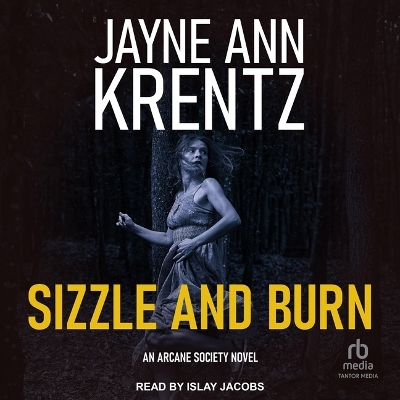 Sizzle and Burn book