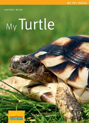 My Turtle book